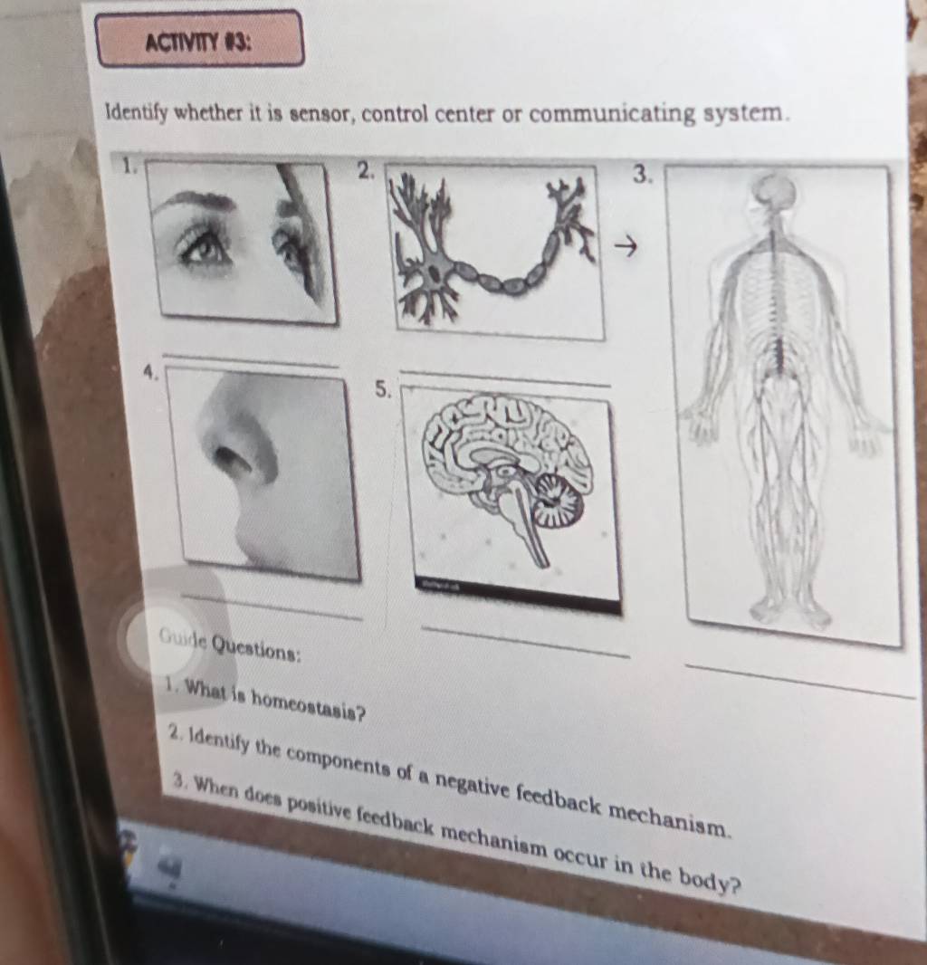 ACTIVITY #3: 
Identify whether it is sensor, control center or communicating system. 
1 
2 
3. 
4 
5 
_ 
_ 
_ 
Guide Questions: 
1. What is homeostasis? 
2. Identify the components of a negative feedback mechanism. 
3. When does positive feedback mechanism occur in the body?