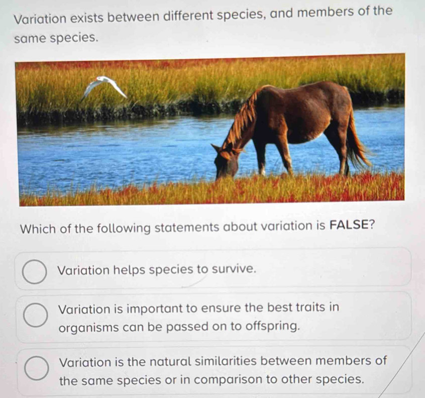 Variation exists between different species, and members of the
same species.
Which of the following statements about variation is FALSE?
Variation helps species to survive.
Variation is important to ensure the best traits in
organisms can be passed on to offspring.
Variation is the natural similarities between members of
the same species or in comparison to other species.