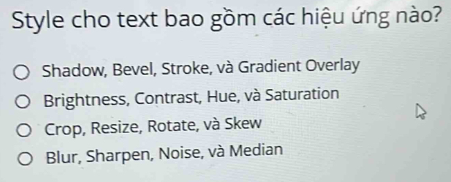 Style cho text bao gồm các hiệu ứng nào?
Shadow, Bevel, Stroke, và Gradient Overlay
Brightness, Contrast, Hue, và Saturation
Crop, Resize, Rotate, và Skew
Blur, Sharpen, Noise, và Median