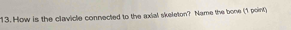 How is the clavicle connected to the axial skeleton? Name the bone (1 point)