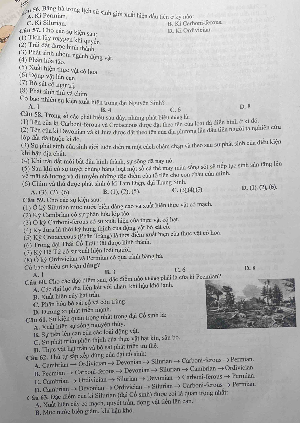 sống
S ầu 56. Băng hà trong lịch sử sinh giới xuất hiện đầu tiên ở k) nào:
A. Ki Permian.
C. Ki Silurian. B. Ki Carboni-ferous.
D. Ki Ordivician.
Câu 57. Cho các sự kiện sau:
Akhos (1) Tích lũy oxygen khí quyển.
(2) Trái đất được hình thành.
(3) Phát sinh nhóm ngành động vật.
(4) Phân hóa tảo.
(5) Xuất hiện thực vật có hoa.
(6) Động vật lên cạn.
(7) Bò sát cổ ngự trị.
(8) Phát sinh thú và chim.
Có bao nhiêu sự kiện xuất hiện trong đại Nguyên Sinh?
A. 1 D. 8
B. 4 C. 6
Câu 58. Trong số các phát biểu sau đây, những phát biểu đúng là:
(1) Tên của kỉ Carboni-ferous và Cretaceous được đặt theo tên của loại đá điền hình ở kỉ đó.
(2) Tên của ki Devonian và ki Jura được đặt theo tên của địa phương lần đầu tiên người ta nghiên cứu
lớp đất đá thuộc ki đó.
(3) Sự phát sinh của sinh giới luôn diễn ra một cách chậm chạp và theo sau sự phát sinh của điều kiện
khí hậu địa chất.
(4) Khi trái đất mới bắt đầu hình thành, sự sống đã này nở.
(5) Sau khi có sự tuyệt chủng hàng loạt một số cá thể may mắn sống sót sẽ tiếp tục sinh sản tăng lên
về mặt số lượng và di truyền những đặc điểm của tỗ tiên cho con cháu của mình.
(6) Chim và thú được phát sinh ở ki Tam Điệp, đại Trung Sinh.
A. (3), (2), (6). B. (1), (2), (5). C. (3),(4),(5). D. (1), (2), (6).
Câu 59. Cho các sự kiện sau:
(1) Ở kỷ Silurian mực nước biển dâng cao và xuất hiện thực vật có mạch.
(2) Kỷ Cambrian có sự phân hóa lớp tảo.
(3) Ở kỷ Carboni-ferous có sự xuất hiện của thực vật có hạt.
(4) Kỷ Jura là thời kỳ hưng thịnh của động vật bò sát cổ.
(5) Kỷ Cretacecous (Phấn Trắng) là thời điểm xuất hiện của thực vật có hoa.
(6) Trong đại Thái Cổ Trái Đất được hình thành.
(7) Kỷ Đệ Tứ có sự xuất hiện loài người.
(8) Ở kỷ Ordivician và Permian có quá trình băng hà.
Có bao nhiêu sự kiện đúng? C. 6 D. 8
A. 1 B. 3
Câu 60. Cho các đặc điểm sau, đặc điểm nào không phải là của ki Pecmian?
A. Các đại lục địa liên kết với nhau, khí hậu khô lạnh.
B. Xuất hiện cây hạt trần.
C. Phân hóa bò sát cổ và côn trùng.
D. Dương xỉ phát triển mạnh.
Câu 61. Sự kiện quan trọng nhất trong đại Cổ sinh là:
A. Xuất hiện sự sống nguyên thủy.
B. Sự tiến lên cạn của các loài động vật.
C. Sự phát triển phồn thịnh của thực vật hạt kín, sâu bọ.
D. Thực vật hạt trấn và bò sát phát triển ưu thế.
Câu 62. Thứ tự sắp xếp đúng của đại cổ sinh:
A. Cambrian → Ordivician → Devonian → Silurian → Carboni-ferous → Permian.
B. Pecmian → Carboni-ferous → Devonian → Silurian → Cambrian → Ordivician.
C. Cambrian → Ordivician → Silurian → Devonian → Carboni-ferous → Permian.
D. Cambrian → Devonian → Ordivician → Silurian → Carboni-ferous → Permian.
Câu 63. Đặc điểm của ki Silurian (đại Cổ sinh) được coi là quan trọng nhất:
A. Xuất hiện cây có mạch, quyết trần, động vật tiến lên cạn.
B. Mực nước biến giảm, khí hậu khô.
