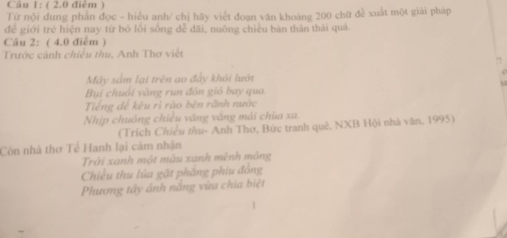 ( 2.0 điểm ) 
Từ nội dung phần đọc - hiểu anh/ chị hãy viết đoạn văn khoảng 200 chữ đề xuất một giải pháp 
để giới trẻ hiện nay từ bỏ lối sống dễ dãi, nuông chiều bản thân thái quả. 
Câu 2: ( 4.0 điểm ) 
Trước cảnh chiều thu, Anh Thơ viết 
n 
Mây sầm lại trên ao đầy khỏi lướt 
Bụi chuối vàng run đôn gió bay qua. 
Tiếng dể kêu rì rào bên rãnh nước 
Nhịp chuông chiều văng văng mải chùa xa. 
(Trích Chiều thu- Anh Thơ, Bức tranh quê, NXB Hội nhà văn, 1995) 
Còn nhà thơ Tế Hanh lại cảm nhận 
Trởi xanh một màu xanh mênh mông 
Chiều thu lủa gặt phẳng phiu đồng 
Phương tây ánh nắng vừa chia biệt