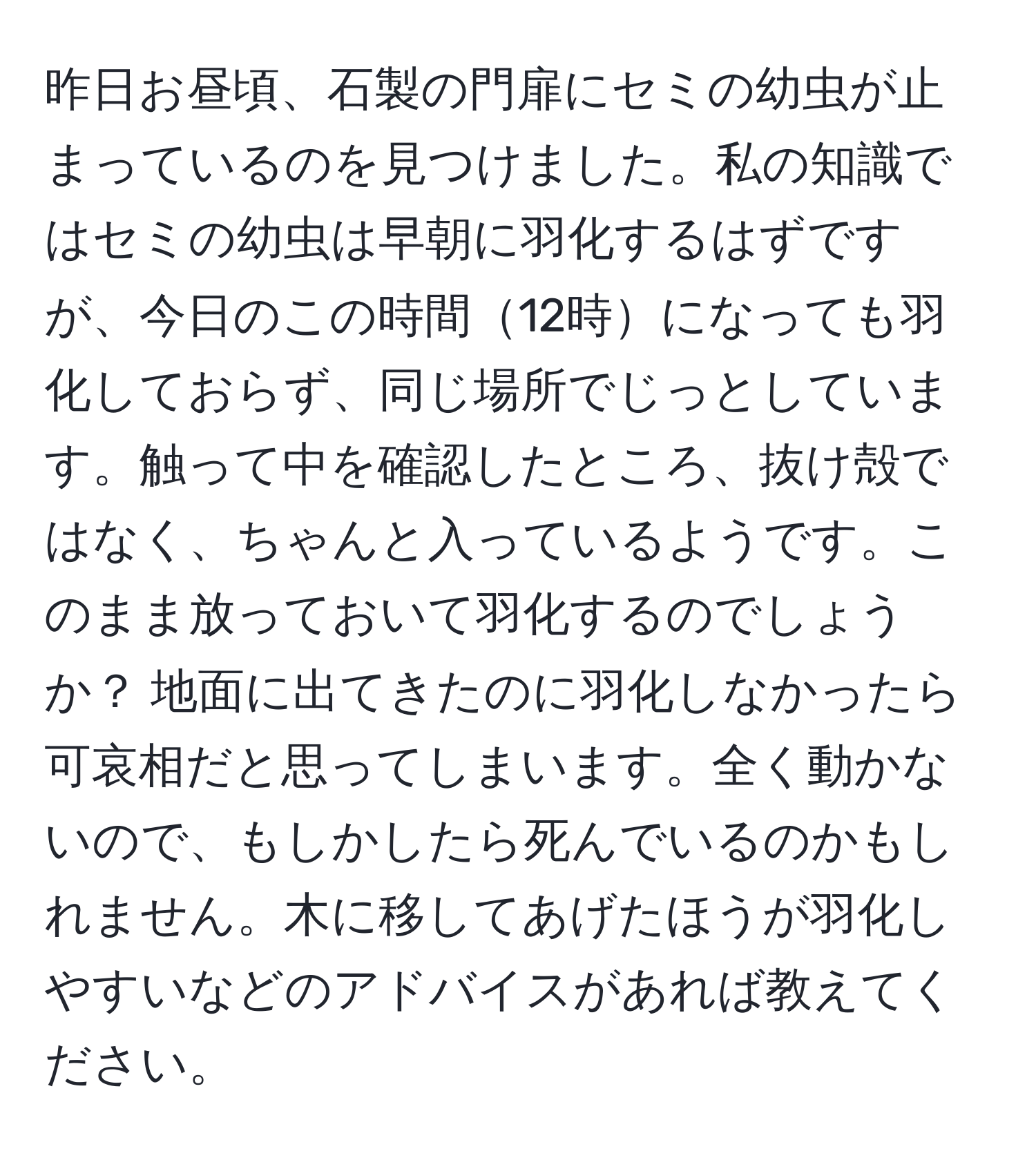 昨日お昼頃、石製の門扉にセミの幼虫が止まっているのを見つけました。私の知識ではセミの幼虫は早朝に羽化するはずですが、今日のこの時間12時になっても羽化しておらず、同じ場所でじっとしています。触って中を確認したところ、抜け殻ではなく、ちゃんと入っているようです。このまま放っておいて羽化するのでしょうか？ 地面に出てきたのに羽化しなかったら可哀相だと思ってしまいます。全く動かないので、もしかしたら死んでいるのかもしれません。木に移してあげたほうが羽化しやすいなどのアドバイスがあれば教えてください。