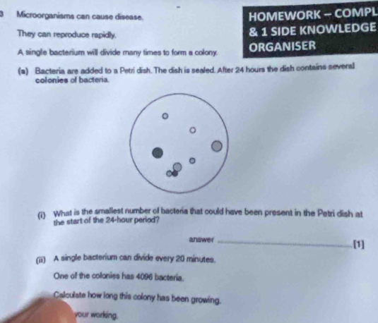 Microorganisms can cause disease. 
HOMEWORK — COMPL 
They can reproduce rapidly. 
& 1 SIDE KNOWLEDGE 
A single bacterium will divide many times to form a colony. ORGANISER 
(a) Bacteria are added to a Petri dish. The dish is sealed. After 24 hours the dish contains several 
colonies of bacteria. 
(i) What is the smallest number of bacteria that could have been present in the Petri dish at 
the start of the 24-hour period? 
answer_ [1] 
(ii) A single bacterium can divide every 20 minutes. 
One of the colonies has 4096 bacteria. 
Calculate how long this colony has been growing. 
your working,