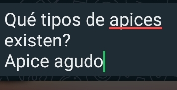 Qué tipos de apices
existen?
Apice agudo