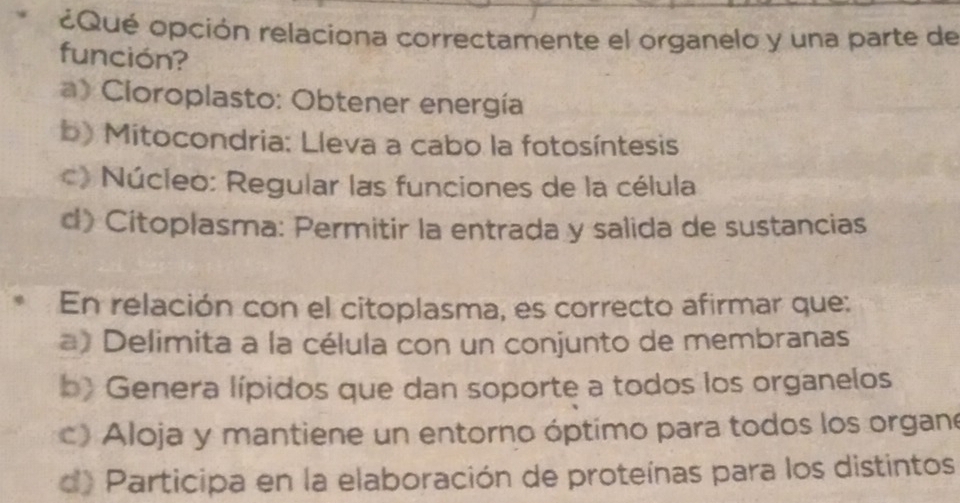 ¿Qué opción relaciona correctamente el organelo y una parte de
función?
a) Cioroplasto: Obtener energía
b) Mitocondria: Lleva a cabo la fotosíntesis
*》 Núcleo: Regular las funciones de la célula
d) Citoplasma: Permitir la entrada y salida de sustancias
En relación con el citoplasma, es correcto afirmar que:
a) Delimita a la célula con un conjunto de membranas
b) Genera lípidos que dan soporte a todos los organelos
) Aloja y mantiene un entorno óptimo para todos los organe
d) Participa en la elaboración de proteínas para los distintos