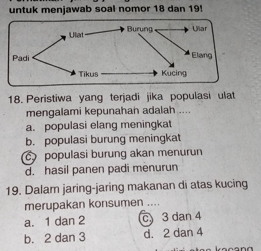 untuk menjawab soal nomor 18 dan 19!
18. Peristiwa yang terjadi jika populasi ulat
mengalami kepunahah adalah ....
a. populasi elang meningkat
b. populasi burung meningkat
c populasi burung akan menurun
d. hasil panen padi menurun
19. Dalam jaring-jaring makanan di atas kucing
merupakan konsumen ....
a. 1 dan 2 c 3 dan 4
b. 2 dan 3 d. 2 dan 4