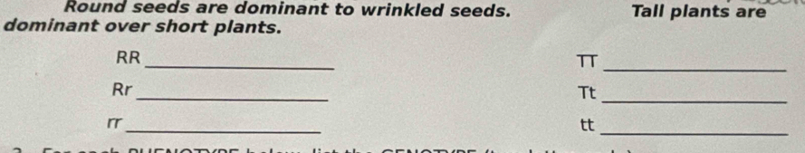 Round seeds are dominant to wrinkled seeds. Tall plants are 
dominant over short plants. 
_ 
_ 
RR
π
_ 
Rr 
Tt 
_ 
_ 
_ 
rr 
tt