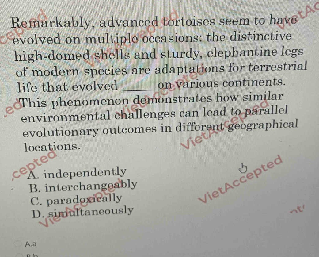 Remarkably, advanced tortoises seem to have
evolved on multiple occasions: the distinctive
high-domed shells and sturdy, elephantine legs
of modern species are adaptations for terrestrial
life that evolved _on various continents.
This phenomenon demonstrates how similar
environmental challenges can lead to parallel
evolutionary outcomes in different geographical
locations.
A. independently
B. interchangeably
C. paradoxically
Viet Accepted
D. simultaneously
A.a
p h