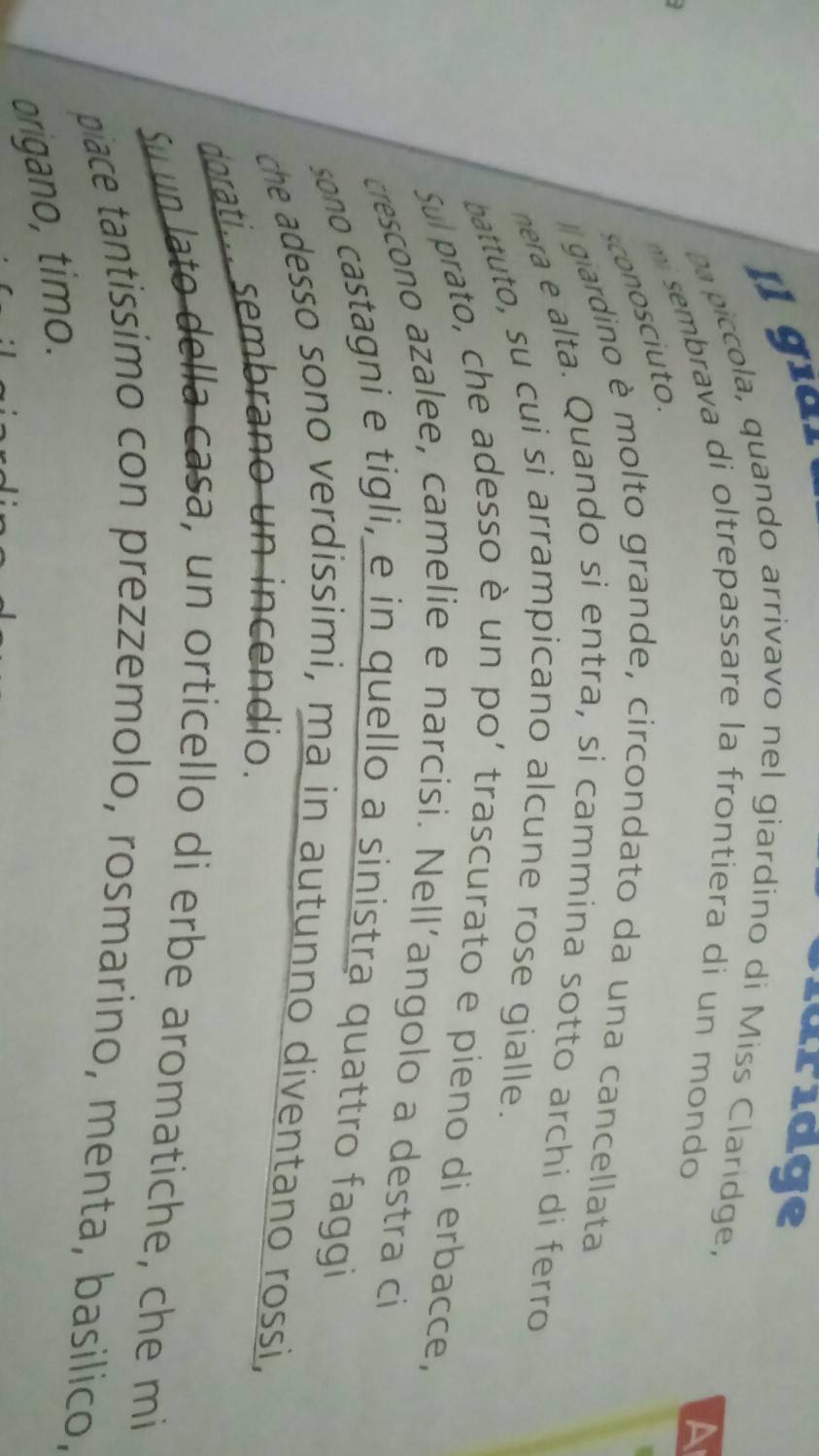 Il gia 
luridge 
piccola, quando arrivavo nel giardino di Miss Claridge, 
m sembrava di oltrepassare la frontiera di un mondo 
A 
I 
giardino è molto grande, circondato da una cancellata 
nera e alta. Quando si entra, si cammina sotto archi di ferro 
battuto, su cui si arrampicano alcune rose gialle. 
Sul prato, che adesso è un po’ trascurato e pieno di erbacce, 
crescono azalee, camelie e narcisi. Nell’angolo a destra ci 
sono castagni e tigli, e in quello a sinistra quattro faggi 
che adesso sono verdissimi, ma in autunno diventano rossi, 
dorati.... sembrano un incendio. 
Suun lato della casa, un orticello di erbe aromatiche, che mi 
piace tantissimo con prezzemolo, rosmarino, menta, basílico, 
origano, timo.