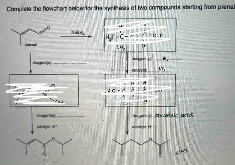 Complete the flowchart below for the synthesis of two compounds starting from prenal 
H
NaBH_4 H_3C-C-C-C-C-O 
CH_2
reagent(s):_ 
reagent(s)_ 
calalyst: _ M : 
H
H,C-C
widehat  ent(s): _reagent(s): .etano Ic acl d 
catalyst: H^4 catalyst H^+
esier 
o