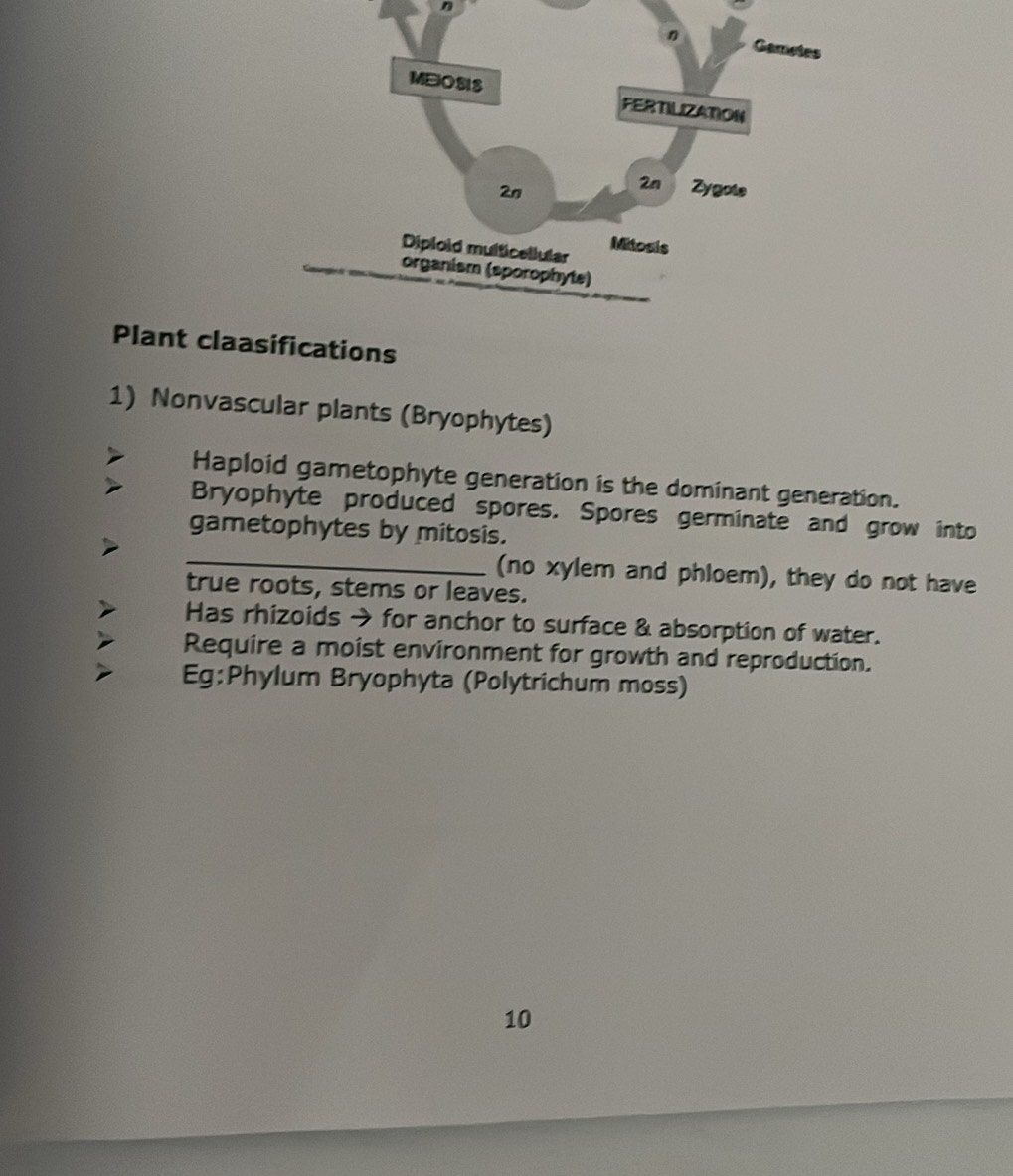 Plant claafications 
1) Nonvascular plants (Bryophytes) 
Haploid gametophyte generation is the dominant generation. 
Bryophyte produced spores. Spores germinate and grow into 
_ 
gametophytes by mitosis. 
(no xylem and phloem), they do not have 
true roots, stems or leaves. 
Has rhizoids → for anchor to surface & absorption of water. 
Require a moist environment for growth and reproduction. 
Eg:Phylum Bryophyta (Polytrichum moss) 
10