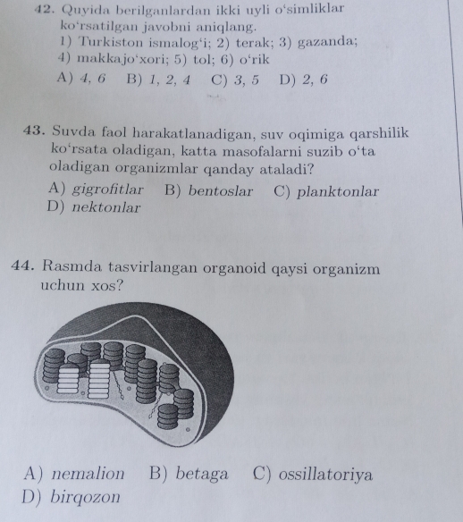 Svingerning rafiqasi mehmonxona xonasida qora tanli yigit tomonidan sikilib, sperma bilan qoplangan