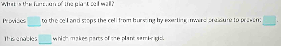 What is the function of the plant cell wall? 
Provides | to the cell and stops the cell from bursting by exerting inward pressure to prevent 
This enables which makes parts of the plant semi-rigid.