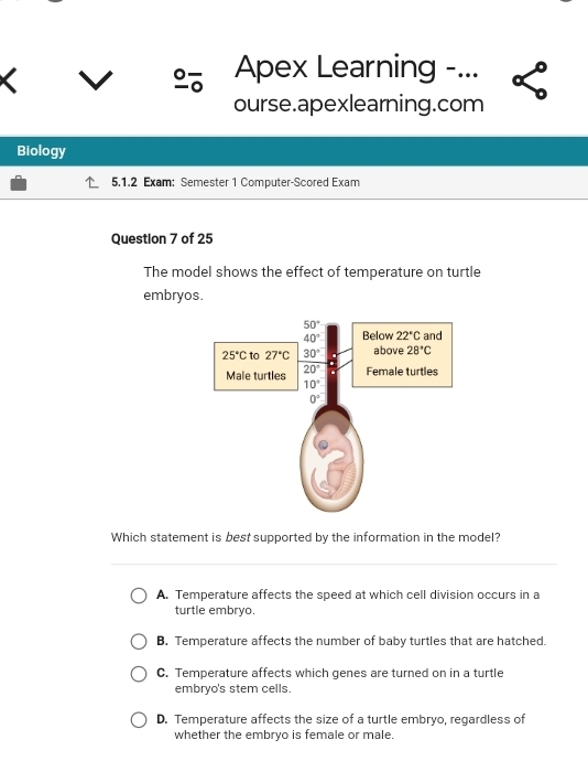 Apex Learning -...
ourse.apexlearning.com
Biology
5.1.2 Exam: Semester 1 Computer-Scored Exam
Question 7 of 25
The model shows the effect of temperature on turtle
embryos.
Which statement is best supported by the information in the model?
A. Temperature affects the speed at which cell division occurs in a
turtle embryo.
B. Temperature affects the number of baby turtles that are hatched.
C. Temperature affects which genes are turned on in a turtle
embryo's stem cells.
D. Temperature affects the size of a turtle embryo, regardless of
whether the embryo is female or male.