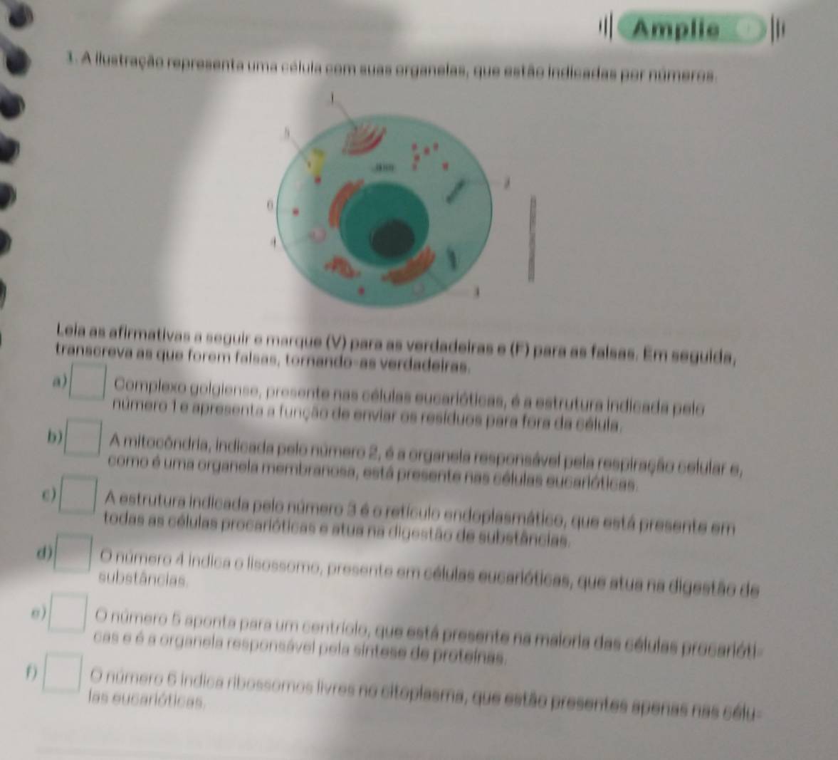 Amplie 
3. A ilustração representa uma céluia com suas organelas, que estão indicadas por números. 
Leia as afirmativas a seguir e marque (V) para as verdadeiras e (F) para as falsas. Em seguida, 
transcreva as que forem falsas, tornando-as verdadeiras. 
a □ Complexo golgiense, presente nas células eucarióticas, é a estrutura indicada pelo 
número 1 e apresenta a função de enviar os resíduos para fora da célula. 
b) □ A mitocôndria, indicada pelo número 2, é a organela responsável pela respiração celular e, 
como é uma organela membranosa, está presente nas células eucarióticas. 
A estrutura indicada pelo número 3 é o retículo endoplasmático, que está presente em 
c ) □ todas as células procarióticas e atua na digestão de substâncias. 
d □ O número 4 indica o lisossomo, presente em células eucarióticas, que atua na digestão de 
substâncias. 
□ O número 5 aponta para um centriolo, que está presente na maioria das células procarióti 
cas e é a organela responsável pela sintese de proteinas. 
f) □ las eucarióticas. 
O número 6 indica ribossomos livres no citoplasma, que estão presentes apenas nas sélu-