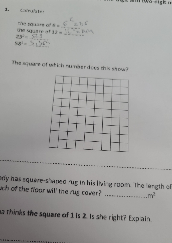 and two-digit n 
1. Calculate: 
the square of 6= _ 
_ 
the square of 12=
23^2= _
58^2=
_ 
The square of which number does this show? 
ndy has square-shaped rug in his living room. The length of 
uch of the floor will the rug cover?_
m^2
a thinks the square of 1 is 2. Is she right? Explain.