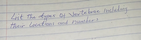 List the types of Vertebrae Including 
their locations and numbers