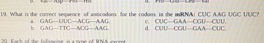 val-Asp-r Hi d.
19. What is the correct sequence of anticodons for the codons in the mRNA: CUC AAG UGC UUC?
a. GAG-UUC-ACG-AAG. c. CUC-GAA-CGU-CUU.
b. GAG-TTC-ACG-AAG. d. CUU-CGU-GAA-CUC. 
20. Each of the following is a type of RNA excent