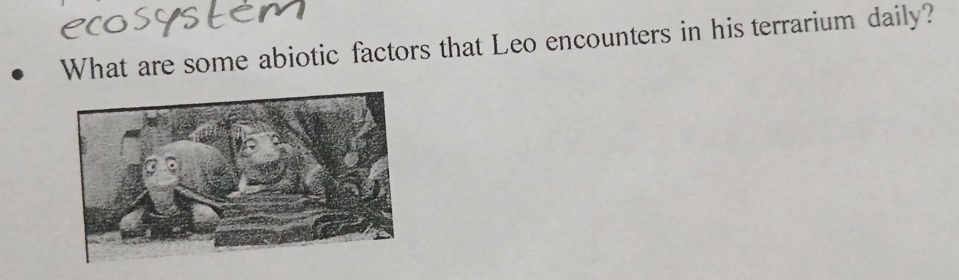 What are some abiotic factors that Leo encounters in his terrarium daily?