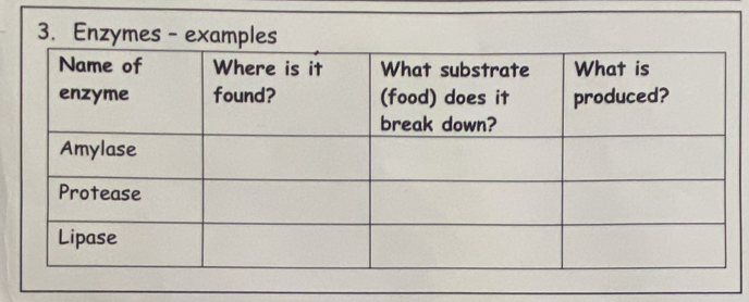 Enzymes - examples