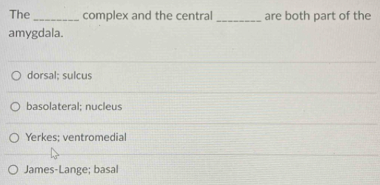 Solved: The _complex and the central _are both part of the amygdala ...