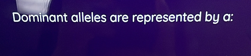 Dominant alleles are represented by a: