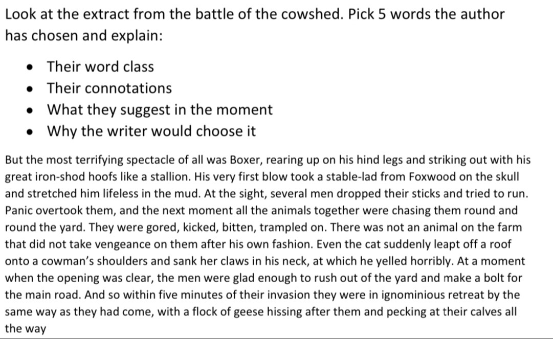 Look at the extract from the battle of the cowshed. Pick 5 words the author 
has chosen and explain: 
Their word class 
Their connotations 
What they suggest in the moment 
Why the writer would choose it 
But the most terrifying spectacle of all was Boxer, rearing up on his hind legs and striking out with his 
great iron-shod hoofs like a stallion. His very first blow took a stable-lad from Foxwood on the skull 
and stretched him lifeless in the mud. At the sight, several men dropped their sticks and tried to run. 
Panic overtook them, and the next moment all the animals together were chasing them round and 
round the yard. They were gored, kicked, bitten, trampled on. There was not an animal on the farm 
that did not take vengeance on them after his own fashion. Even the cat suddenly leapt off a roof 
onto a cowman’s shoulders and sank her claws in his neck, at which he yelled horribly. At a moment 
when the opening was clear, the men were glad enough to rush out of the yard and make a bolt for 
the main road. And so within five minutes of their invasion they were in ignominious retreat by the 
same way as they had come, with a flock of geese hissing after them and pecking at their calves all 
the way