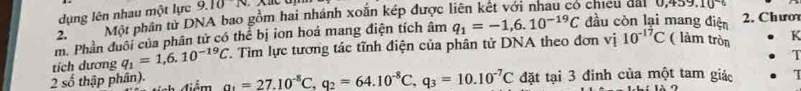 dụng lên nhau một lực 9.10N
2. Một phân tử DNA bao gồm hai nhánh xoắn kép được 
m. Phần đuôi của phân tử có thể bị ion hoá mang điện tích âm q_1=-1,6.10^(-19)C đầu còn lại mang điện 2. Chưor 
tích dương q_1=1,6.10^(-19)C T. Tìm lực tương tác tĩnh điện của phân tử DNA theo đơn vị 10^(-17)C ( làm tròn K 
2 số thập phân). điểm _ a_1=27.10^(-8)C,q_2=64.10^(-8)C, q_3=10.10^(-7)C đặt tại 3 đinh của một tam giác . T