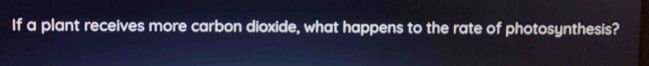 If a plant receives more carbon dioxide, what happens to the rate of photosynthesis?