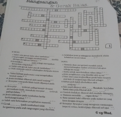 Rangsangan
a Naïah sate gerak bains akar tambuhan.
21 Kelehihan jenás pendengaran steryufuwik alalah
7 Sesetengah serangya mezbebaskan _apabila DOWN kebotchan menes tukan _can
diriaya mengesan bahavs. pada telinga inerupakan * Mamgsia akan mengalami uasalah untuk
§ Kerosakan kocacatan yang kekal." 
2 Salab satu gerak hadas pucak tumbukan' Belinga ini resak." menyeimhangka hadan sekäranya hal ıtius
23 Otak naneía adalah sebahagian daripada sistem : Kanta untuk men betalkan vaban dekai
4 Jenis penglihatan yang dänäliki ošel ayam.
1a Nama lapisan pada mata yang iengekalkan $ ()tot-ntot yang meghasilkan gerak balas (seperti
bentuk mat a   
26 Jenis tindakan dikawal oleb saraf tunjang.  o tot kaki &  tangan )juga dikenali sebag  _
r7 Reseptor rasa pada lidah bolch dijunspai pada  6 Itabun jauh bolch dischahkun olch panjang
= F 9 Saix pupil dikmwa! oleha , Misnakula, ketcbalan
kanta mat puła dhkawal olch
19 Reseptor permukaan kufit. manakaïa reseptor terfetak paling hampir dengan 10 Contoh tindakan dikawal olels medula oblonata.
paling dalam.  no terletak =  Manusia memilik
20 Jenís sokongan pada tumbuhan herba 4  15 Rasa smami boei dikesan poda makanan yang orgun deria!"  
herhatang lembut.
21 Salah satu kelemahan penglihatan manusia. kaya dęngan dengan_
22 Geruk_ (pada tmbuhun) tidak  18 Reseptor-Reseptor vang mengesan rangsangan
(seperti retina, koklea) jaga dikenali sebaṭai
berguntung pada urah rangsangun yang diterima. 。 cg fRed.