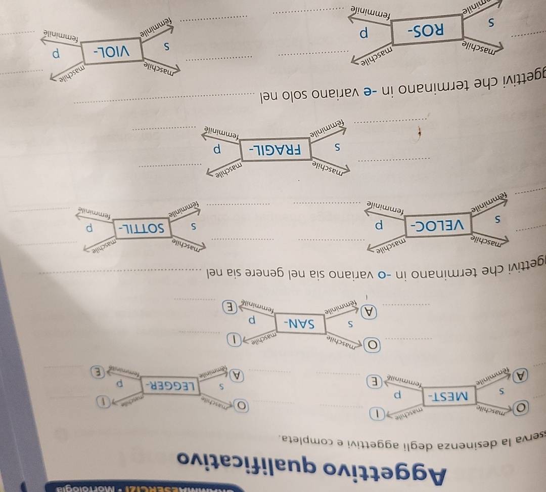 RC1zi · Morfología 
Aggettivo qualificativo 
sserva la desinenza degli aggettivi e completa. 
_ 
_ 
maschile 
maschile 1 
aschile 
s MEST- p 
_1 
A minile femminilé E_ 
S LEGGER- p 
_A 
_E 
_maschile maschile_ 
S SAN- p 
__A inile femminile E_ 
gettivi che terminano in -o variano sía nel genere sía nel _ 
_ 
_ 
maschile 
maschile_ 
_ 
S VELOC- p 
femminile 
femminile_ 
_ 
_ 
_ 
maschile 
maschile_ 
S FRAGIL- p 
ile 
_ 
femminile_ 
fem 
_ 
gettivi che terminano in -e variano solo nel 
_ 
maschile_ 
maschile 
S ROS- p _ 
minile 
femminile_