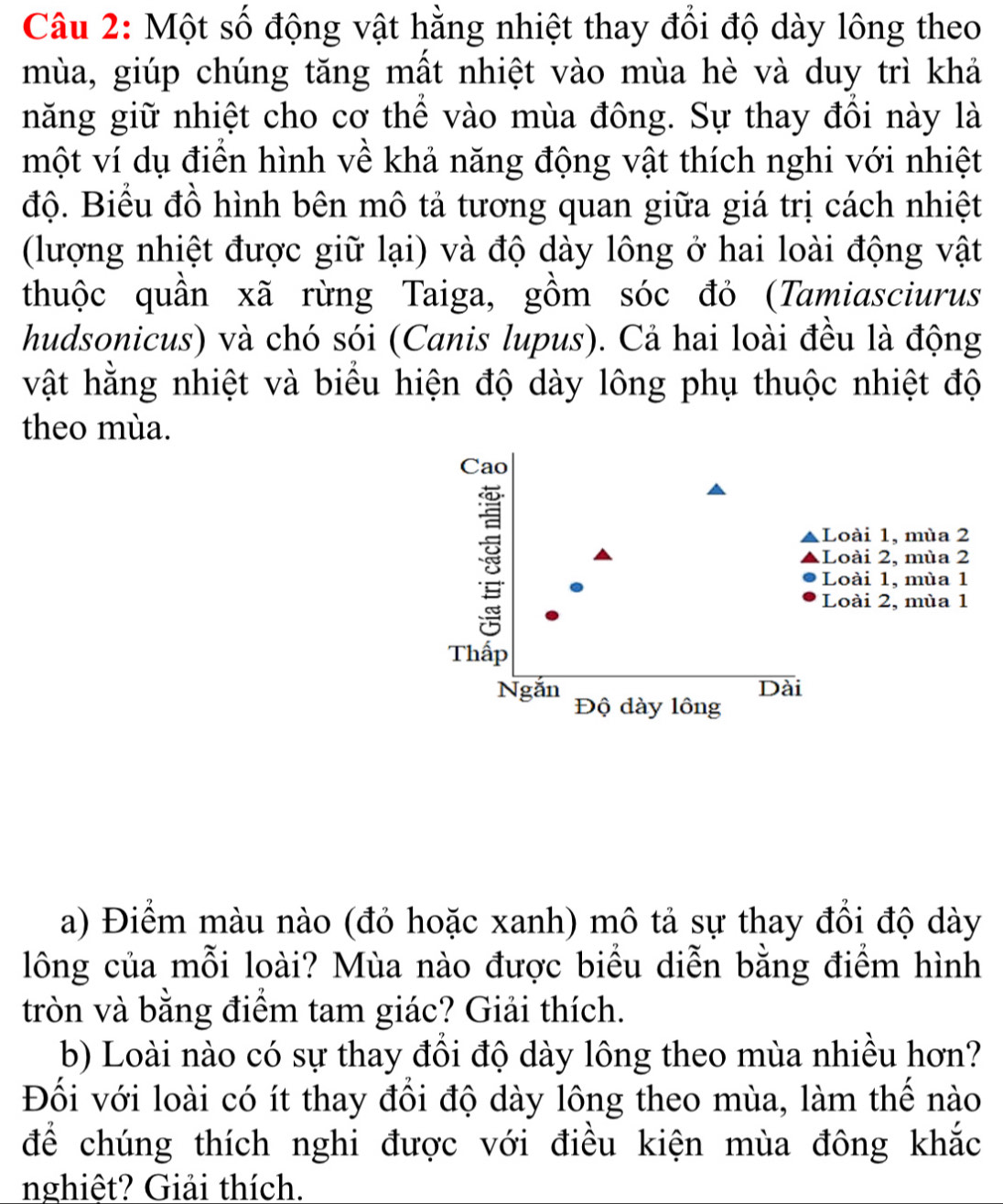 Một số động vật hằng nhiệt thay đổi độ dày lông theo 
mùa, giúp chúng tăng mất nhiệt vào mùa hè và duy trì khả 
năng giữ nhiệt cho cơ thể vào mùa đông. Sự thay đồi này là 
một ví dụ điển hình về khả năng động vật thích nghi với nhiệt 
độ. Biểu đồ hình bên mô tả tương quan giữa giá trị cách nhiệt 
(lượng nhiệt được giữ lại) và độ dày lông ở hai loài động vật 
thuộc quần xã rừng Taiga, gồm sóc đỏ (Tamiasciurus 
hudsonicus) và chó sói (Canis lupus). Cả hai loài đều là động 
vật hằng nhiệt và biểu hiện độ dày lông phụ thuộc nhiệt độ 
theo mùa. 
Cao 
Loài 1, mùa 2
Loài 2, mùa 2
Loài 1, mùa 1
Loài 2, mùa 1
Thấp 
Dài 
Ngắn Độ dày lông 
a) Điểm màu nào (đỏ hoặc xanh) mô tả sự thay đổi độ dày 
lông của mỗi loài? Mùa nào được biểu diễn bằng điểm hình 
tròn và bằng điểm tam giác? Giải thích. 
b) Loài nào có sự thay đồi độ dày lông theo mùa nhiều hơn? 
Đối với loài có ít thay đổi độ dày lông theo mùa, làm thế nào 
để chúng thích nghi được với điều kiện mùa đông khắc 
nghiệt? Giải thích.