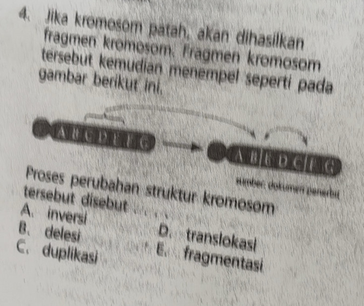 Jika kromosom patah, akan dihasilkan
fragmen kromosom. Fragmen kromosom
tersebut kemudían menempel sepertí pada
gambar berikut ini.
A B a
D
Proses perubahan struktur kromosøm
sumbr, dokumen penérbit
tersebut disebut .
A. inversi D. translokasi
B. delesi E fragmentasi
C. duplikasi