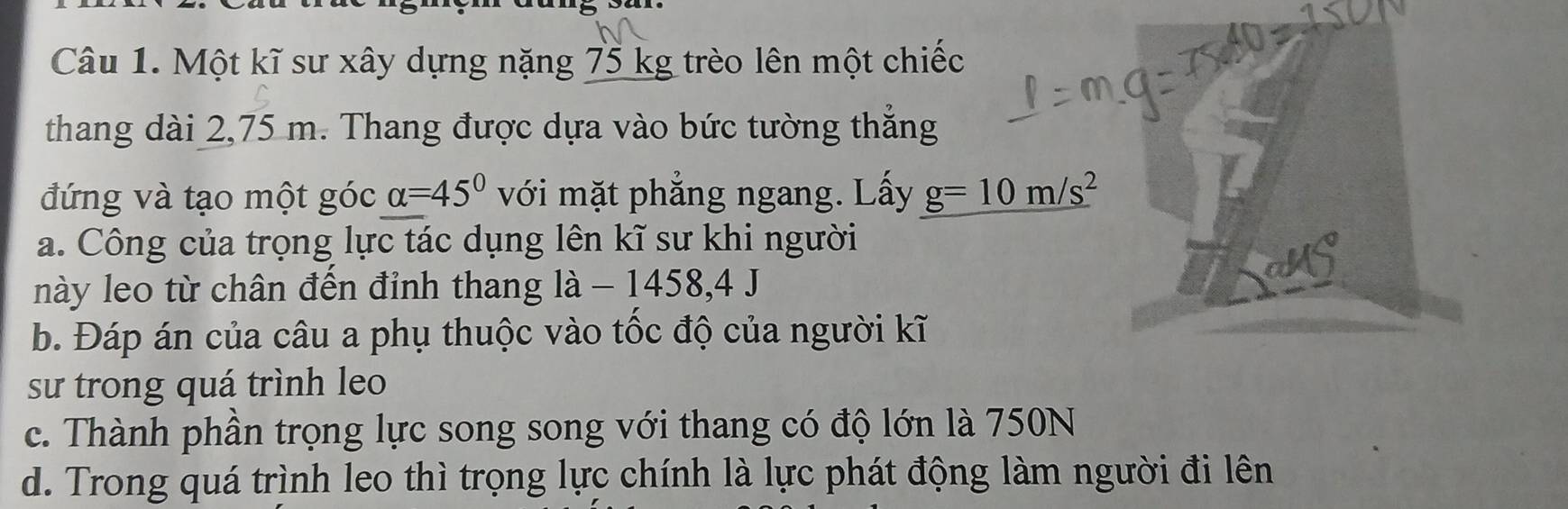 Một kĩ sư xây dựng nặng 75 kg trèo lên một chiếc 
thang dài 2,75 m. Thang được dựa vào bức tường thẳng 
đứng và tạo một góc alpha =45° với mặt phẳng ngang. Lấy g=10m/s^2
a. Công của trọng lực tác dụng lên kĩ sư khi người 
này leo từ chân đến đỉnh thang là - 1458, 4 J 
b. Đáp án của câu a phụ thuộc vào tốc độ của người kĩ 
sư trong quá trình leo 
c. Thành phần trọng lực song song với thang có độ lớn là 750N
d. Trong quá trình leo thì trọng lực chính là lực phát động làm người đi lên