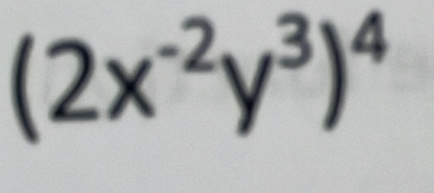 (2x^(-2)y^3)^4