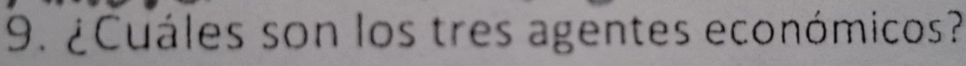 ¿Cuáles son los tres agentes económicos?
