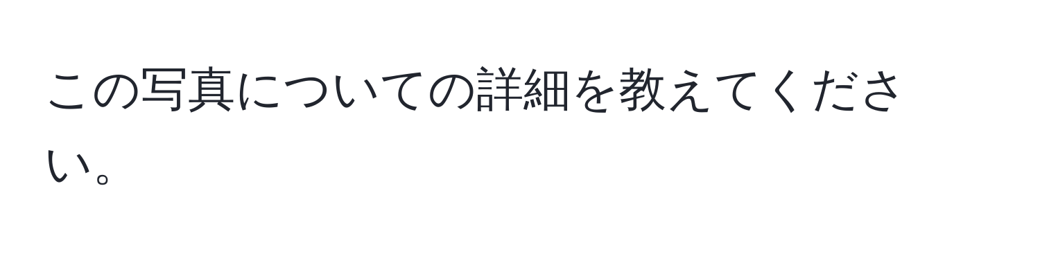 この写真についての詳細を教えてください。