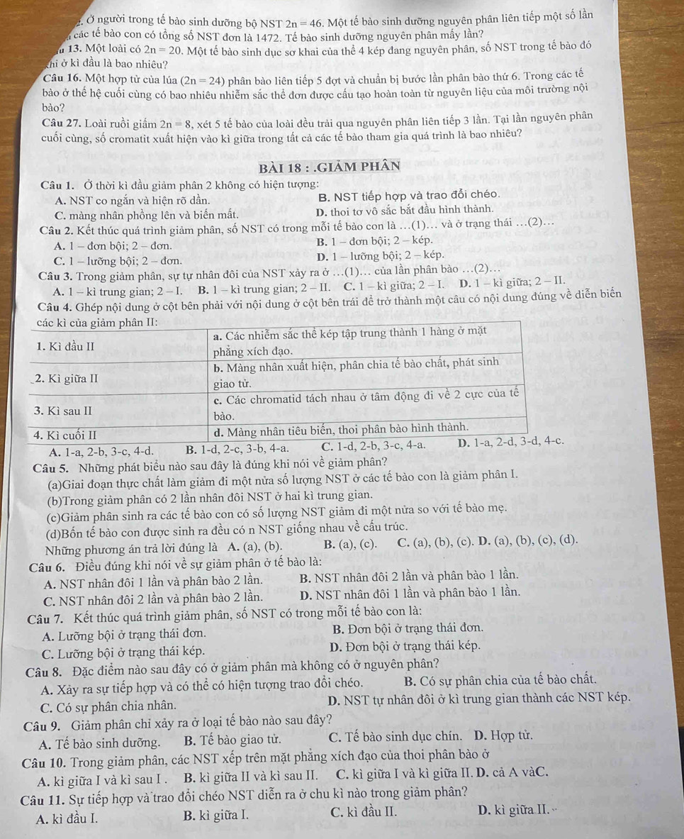 Ở Ở người trong tế bào sinh dưỡng bộ NST 2n=46. Một tế bào sinh dưỡng nguyên phân liên tiếp một số lần
các tế bào con có tổng số NST đơn là 1472. Tế bào sinh dưỡng nguyên phân mấy lần?
* 13. Một loài có 2n=20. Một tế bào sinh dục sơ khai của thể 4 kép đang nguyên phân, số NST trong tế bào đó
hi ở kì đầu là bao nhiêu?
Câu 16. Một hợp từ của lúa (2n=24) phân bào liên tiếp 5 đợt và chuẩn bị bước lần phân bào thứ 6. Trong các tế
bào ở thế hệ cuối cùng có bao nhiêu nhiễm sắc thể đơn được cầu tạo hoàn toàn từ nguyên liệu của môi trường nội
bào?
Câu 27. Loài ruồi giấm 2n=8 , xét 5 tế bào của loài đều trải qua nguyên phân liên tiếp 3 lần. Tại lần nguyên phân
cuối cùng, số cromatit xuất hiện vào kì giữa trong tất cả các tế bào tham gia quá trình là bao nhiêu?
bài 18 : .giảm phân
Câu 1. Ở thời kì đầu giảm phân 2 không có hiện tượng:
A. NST co ngắn và hiện rõ dần. B. NST tiếp hợp và trao đổi chéo.
C. màng nhân phồng lên và biến mất. D. thoi tơ vô sắc bắt đầu hình thành.
Câu 2. Kết thúc quá trình giảm phân, số NST có trong mỗi tế bào con là .(1)... và ở trạng thái …(2)..
A. 1 - đơn bội; 2 - đơn. B. 1 - đơn bội; 2 - kép.
C. 1 - lưỡng bội; 2 - đơn. D. 1 - lưỡng bội; 2 - kép.
Câu 3. Trong giảm phân, sự tự nhân đôi của NST xảy ra ở ..(1)... của lần phân bào .(2)...
A. 1 - kì trung gian; 2-I B. 1 - kì trung gian; 2 - II. C. 1 - kì giữa; 2 - I. D. 1 - kì giữa; 2-II
Câu 4. Ghép nội dung ở cột bên phải với nội dung ở cột bên trái đề trở thành một câu có nội dung đúng về diễn biển
A. 1-a, 2-b, 3-c, 4-d. B. 1-d, 2-c, 3-b, 4-a. C. 1-d
Câu 5. Những phát biểu nào sau đây là đúng khi nói về giảm phân?
(a)Giai đoạn thực chất làm giảm đi một nửa số lượng NST ở các tế bào con là giảm phân I.
(b)Trong giảm phân có 2 lần nhân đôi NST ở hai kì trung gian.
(c)Giảm phân sinh ra các tế bào con có số lượng NST giảm đi một nửa so với tế bào mẹ.
(d)Bốn tế bào con được sinh ra đều có n NST giống nhau về cấu trúc.
Những phương án trả lời đúng là A. (a), (b). B. (a), (c). C. (a), (b), (c). D. (a), (b), (c), (d).
Câu 6. Điều đúng khi nói về sự giảm phân ở tế bào là:
A. NST nhân đôi 1 lần và phân bào 2 lần. B. NST nhân đôi 2 lần và phân bào 1 lần.
C. NST nhân đôi 2 lần và phân bào 2 lần. D. NST nhân đôi 1 lần và phân bào 1 lần.
Câu 7. Kết thúc quá trình giảm phân, số NST có trong mỗi tế bào con là:
A. Lưỡng bội ở trạng thái đơn. B. Đơn bội ở trạng thái đơn.
C. Lưỡng bội ở trạng thái kép. D. Đơn bội ở trạng thái kép.
Câu 8. Đặc điểm nào sau đây có ở giảm phân mà không có ở nguyên phân?
A. Xảy ra sự tiếp hợp và có thể có hiện tượng trao đổi chéo. B. Có sự phân chia của tế bào chất.
C. Có sự phân chia nhân. D. NST tự nhân đôi ở kì trung gian thành các NST kép.
Câu 9. Giảm phân chỉ xảy ra ở loại tế bào nào sau đây?
A. Tế bào sinh dưỡng. B. Tế bào giao tử. C. Tế bào sinh dục chín. D. Hợp tử.
Câu 10. Trong giảm phân, các NST xếp trên mặt phẳng xích đạo của thoi phân bào ở
A. kì giữa I và kì sau I . B. kì giữa II và kì sau II. C. kì giữa I và kì giữa II. D. cả A vàC.
Câu 11. Sự tiếp hợp và trao đổi chéo NST diễn ra ở chu kì nào trong giảm phân?
A. kì đầu I. B. kì giữa I. C. kì đầu II. D. kì giữa II.