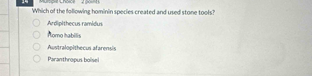 Which of the following hominin species created and used stone tools?
Ardipithecus ramidus
Fomo habilis
Australopithecus afarensis
Paranthropus boisei