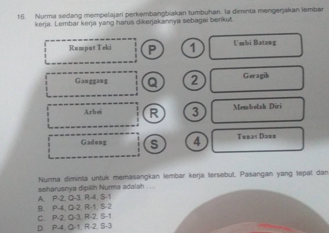 Nurma sedang mempelajari perkembangbiakan tumbuhan. Ia diminta mengerjakan lembar
kerja. Lembar kerja yang harus dikerjakannya sebagai berikut.
Umbi Batang
Rumput Teki
P 1
Ganggang Geragih
Q 2
Arbei 3 Membelah Diri
R
Tunas Dauu
Gadung
S
4
Nurma diminta untuk memasangkan lembar kerja tersebut. Pasangan yang tepat dan
seharusnya dipilih Nurma adalah ....
A. P-2, Q-3, R-4, S-1
B. P-4, Q-2, R-1, S-2
C. P-2, Q-3, R-2, S-1
D. P-4, Q-1, R-2, S-3