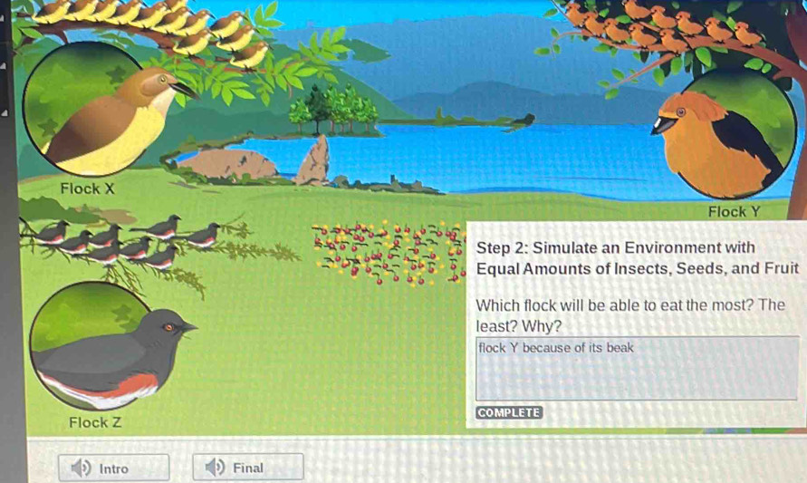Solved: Flock X Flock Y Step 2: Simulate an Environment with Equal ...