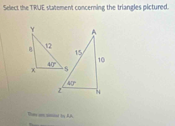 Select the TRUE statement concerning the triangles pictured.
They a siset by AA