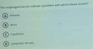 The esophageal varices indicate a problem with which blood vessels?
A Arteries
B Veins
C Capillaries
D Lymphatic Vessels