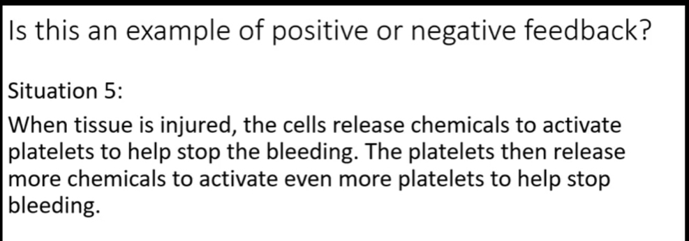 Is this an example of positive or negative feedback? 
Situation 5: 
When tissue is injured, the cells release chemicals to activate 
platelets to help stop the bleeding. The platelets then release 
more chemicals to activate even more platelets to help stop 
bleeding.