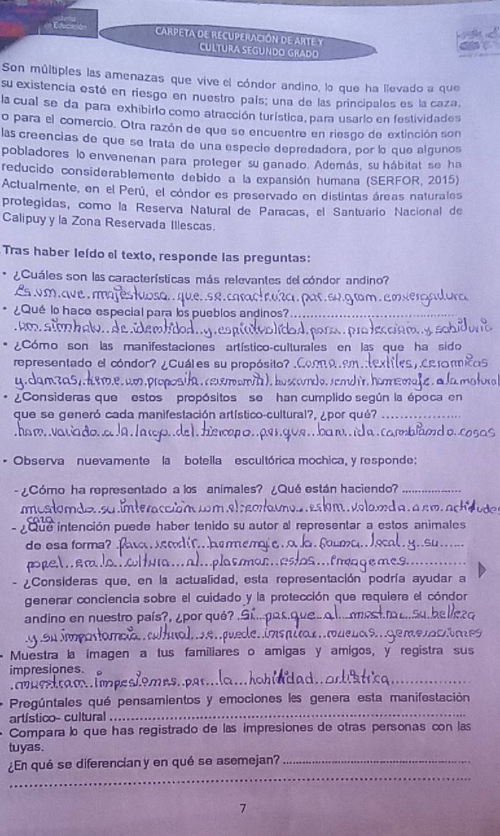 CARPETA de REcUPERAcióN de Arte y
Cultura segundo Grado
Son múltiples las amenazas que vive el cóndor andino, lo que ha llevado a que
su existencia estó en riesgo en nuestro país; una de las principales es la caza,
la cual se da para exhibirio como atracción turística, para usario en festividades
o para el comercio. Otra razón de que se encuentre en riesgo de extinción son
las creencias de que se trata de una especie depredadora, por lo que algunos
pobladores lo envenenan para proteger su ganado. Además, su hábitat se ha
reducido considerablemento debido a la expansión humana (SERFOR, 2015)
Actualmente, en el Perú, el cóndor es preservado en distintas áreas naturales
protegidas, como la Reserva Natural de Paracas, el Santuario Nacional de
Calipuyy la Zona Reservada Illescas.
Tras haber leído el texto, responde las preguntas:
¿Cuáles son las características más relevantes del cóndor andino?
¿ Qué lo hace especial para los pueblos andinos?_
k de üem
¿Cómo son las manifestaciones artístico-culturales en las que ha sido
representado el cóndor? ¿Cuáles su propósito?
¿Consideras que estos propósitos se har cumplido según la época en
que se generó cada manifestación artístico-cultural?  ¿ por qué?_
* Observa nuevamente la botella escultórica mochica, y responde:
- ¿Cómo ha representado a los animales? ¿Qué están haciendo?_
moston
da.asm.Ω
Que intención puede haber tenido su autor al representar a estos animales
de esa forma? 
_
m.
meg_
¿Consideras que, en la actualidad, esta representación podría ayudar a
generar conciencia sobre el cuidado y la protección que requiere el cóndor
andino en nuestro país?, ¿por qué?
.imspi    m u ιαs ememime
Muestra la imagen a tus familiares o amigas y amigos, y registra sus
__
impresiones.
mpc
_
_
Pregúntales qué pensamientos y emociones les genera esta manifestación
artístico- cultural
Compara lo que has registrado de las impresiones de otras personas con las
tuyas.
_
¿En qué se diferencian y en qué se asemejan?_
7