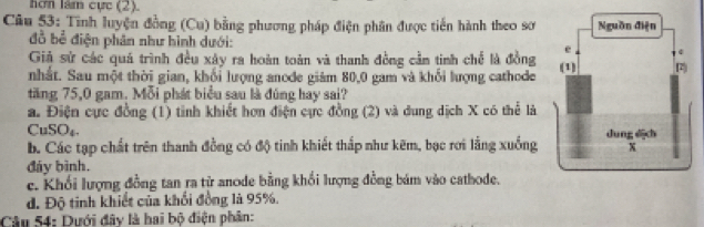 hơn làm cực (2).
Câu 53: Tình luyện đồng (Cu) bằng phương pháp điện phân được tiến hành theo sơ 
đồ bể điện phân như hình dưới:
Giả sử các quá trình đều xây ra hoàn toàn và thanh đồng cầm tinh chế là đồng 
nhất. Sau một thời gian, khối lượng anode giám 80, 0 gam và khối lượng cathode 
tăng 75, 0 gam. Mỗi phát biểu sau là đúng hay sai?
a. Điện cực đồng (1) tinh khiết hơn điện cực đồng (2) và dung dịch X có thể là
CuSO₄.
b. Các tạp chất trên thanh đồng có độ tinh khiết thấp như kẽm, bạc rơi lằng xuống
đáy bình.
c. Khổi lượng đồng tan ra từ anode bằng khổi lượng đồng bám vào cathode.
d. Độ tinh khiết của khối đồng là 95%.
Câu 54: Dưới đây là hai bộ điện phân: