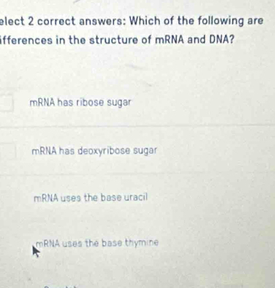 elect 2 correct answers: Which of the following are
ifferences in the structure of mRNA and DNA?
mRNA has ribose sugar
mRNA has deoxyribose sugar
mRNA uses the base uracil
mRNA uses the base thymine