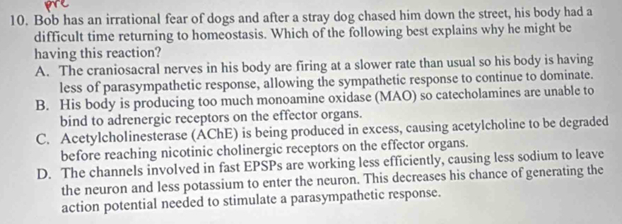 Bob has an irrational fear of dogs and after a stray dog chased him down the street, his body had a
difficult time returning to homeostasis. Which of the following best explains why he might be
having this reaction?
A. The craniosacral nerves in his body are firing at a slower rate than usual so his body is having
less of parasympathetic response, allowing the sympathetic response to continue to dominate.
B. His body is producing too much monoamine oxidase (MAO) so catecholamines are unable to
bind to adrenergic receptors on the effector organs.
C. Acetylcholinesterase (AChE) is being produced in excess, causing acetylcholine to be degraded
before reaching nicotinic cholinergic receptors on the effector organs.
D. The channels involved in fast EPSPs are working less efficiently, causing less sodium to leave
the neuron and less potassium to enter the neuron. This decreases his chance of generating the
action potential needed to stimulate a parasympathetic response.