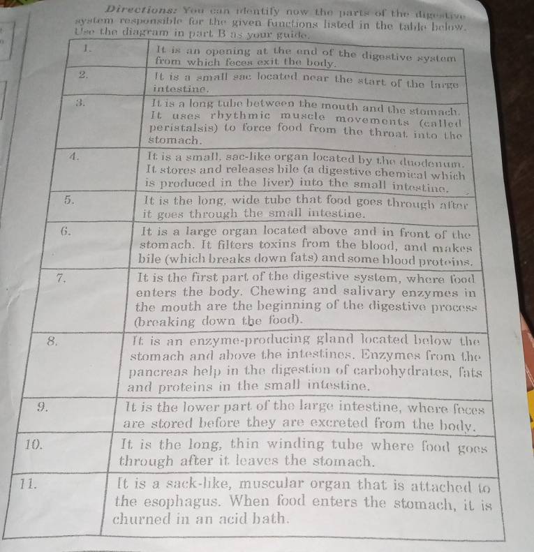 Directions: You can identily now the parts of the digestive 
system responsible for the given functions listed in the table below. 
1 
1